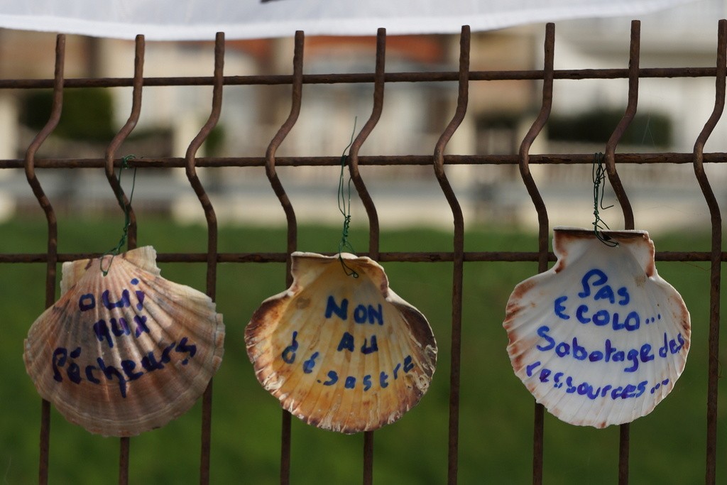 Erquy contre le parc éolien