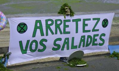 Arretez vos salades
