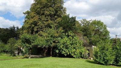 Jardin eveche