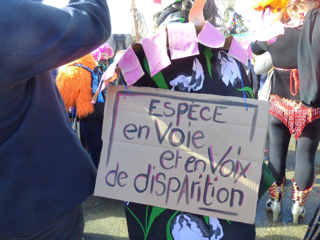 Guingamp 13 mars
